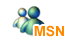 ϵMSN